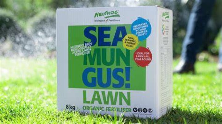 Can i use seamungus on natives?