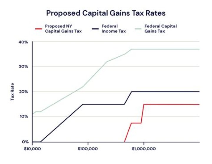 Can margin interest be deducted from capital gains?