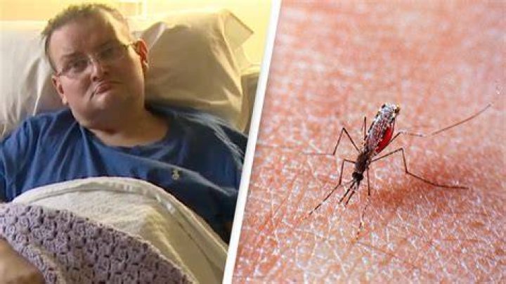 Has anyone died from mosquito?