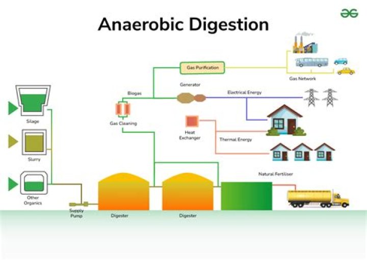 How do anaerobes obtain energy?