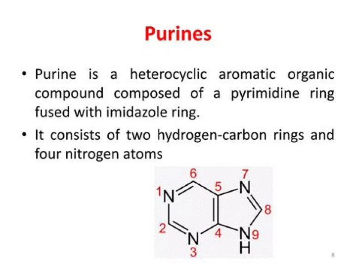 How many heteroatoms does purine contain?