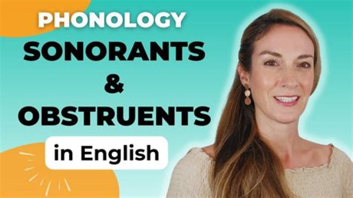 How to use obstruent in a sentence?