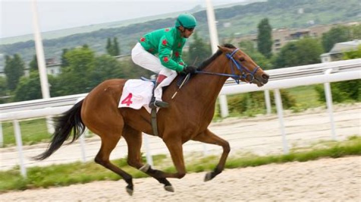 Is jockeying a sport?