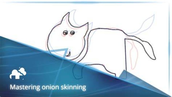 Was ist onion skinning?