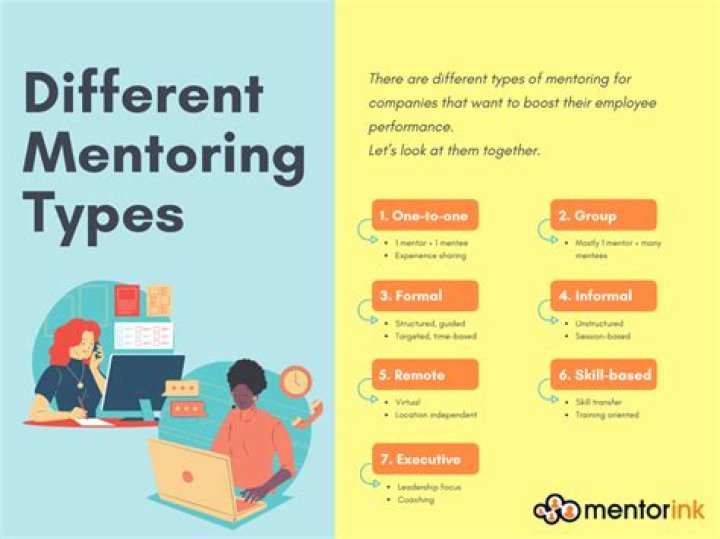 What are business mentors?