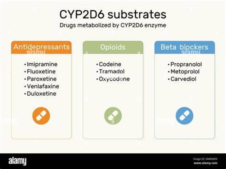 What do drug-metabolizing enzymes do?