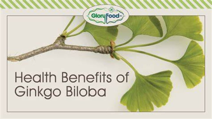 What does ginkgo do?