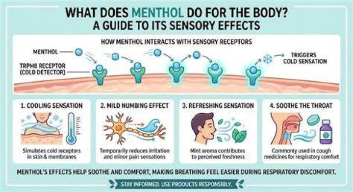 What does menthol do to your body?