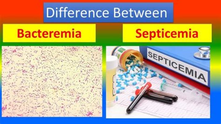 What is bacteremia and septicemia?