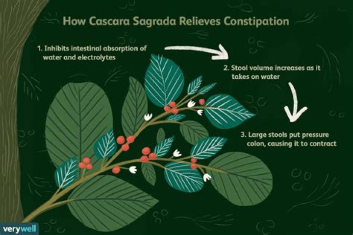 What is cascara sagrada used for?