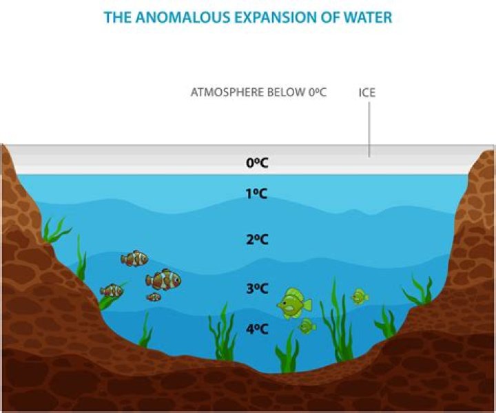 What is meant by waterward?
