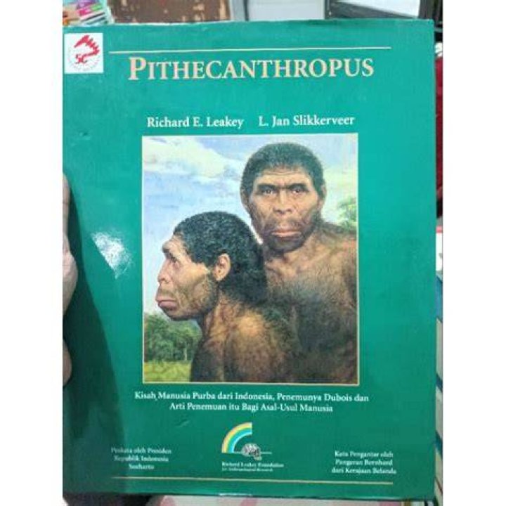 What is the meaning pithecanthropus?