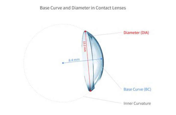 Whats base curve contact lens?
