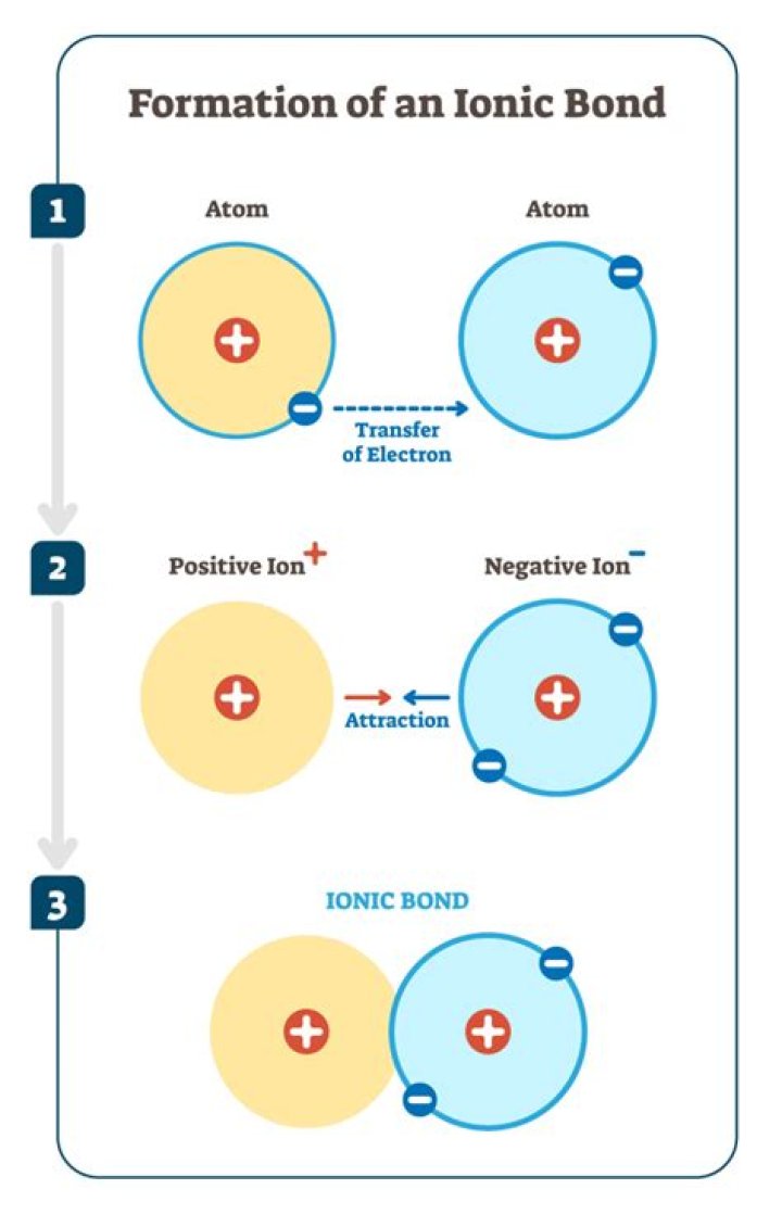 When electrons are lost a ion is formed?