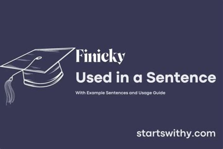 When to use finicky?