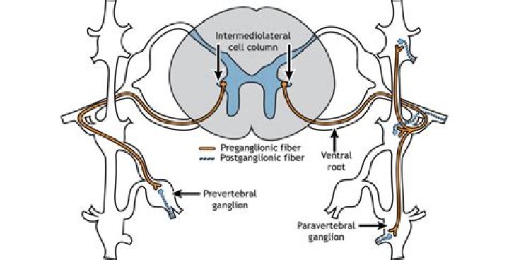 When to use ganglionic blocker?