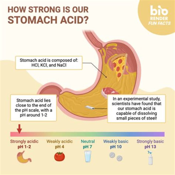 Which acid is formed in stomach?
