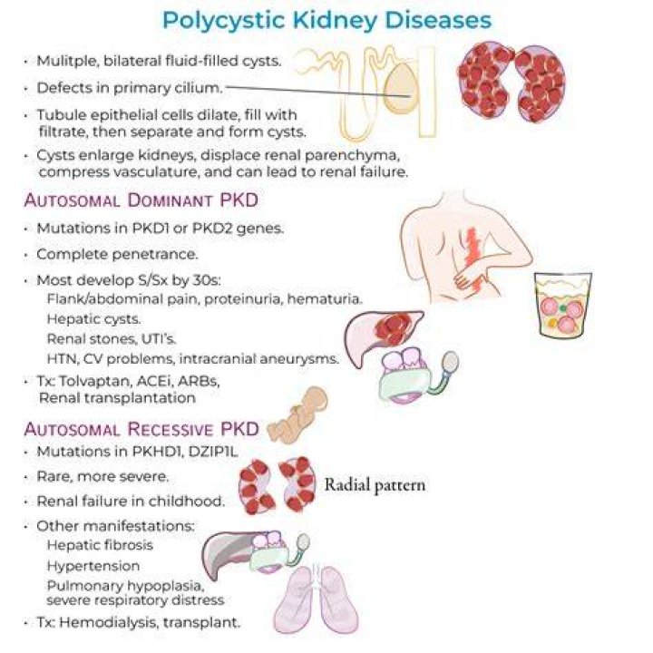 Which gene causes polycystic kidney disease?
