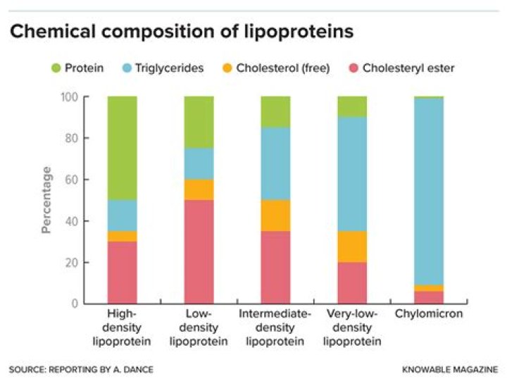 Which lipoprotein has the highest proportion of triglyceride?