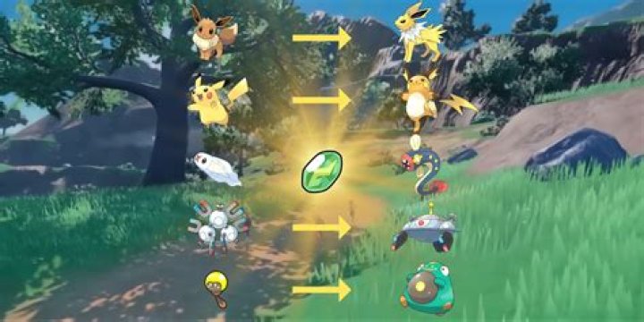Which pokemon need thunderstone to evolve?