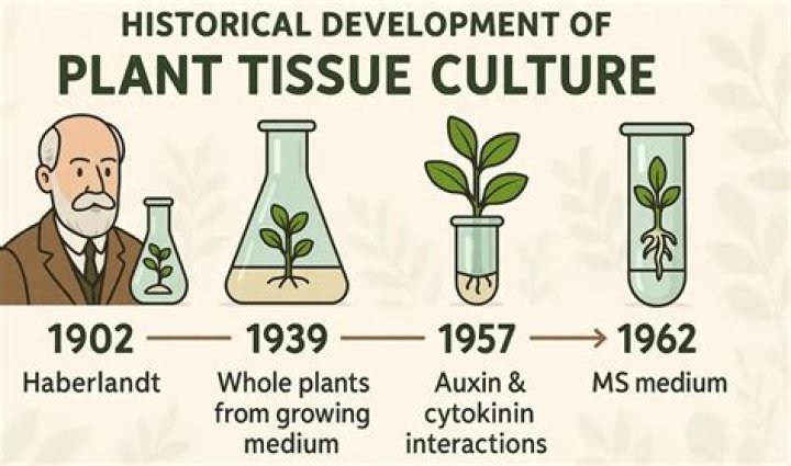 Who invented microbiological culture?